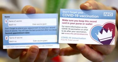 Friss hírek a lockdown feloldásával és az „oltási útlevelekkel” kapcsolatban