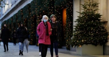 A szakértők szerint túl veszélyes lenne feloldani a lockdownt karácsonyra Nagy-Britanniában