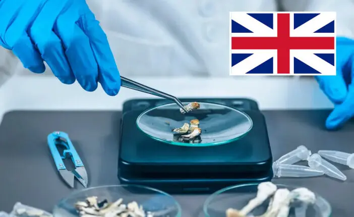 Az ismert kábítószer, a varázsgomba hatóanyaga segítségével hatalmas áttörést értek el a manapság tömegeket sújtó depresszió kezelésében Nagy-Britanniában 1