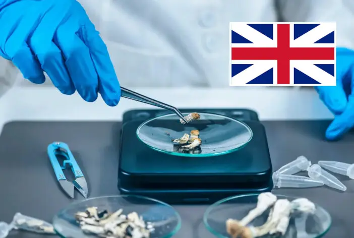 Az ismert kábítószer, a varázsgomba hatóanyaga segítségével hatalmas áttörést értek el a manapság tömegeket sújtó depresszió kezelésében Nagy-Britanniában 3