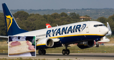 ryanair szendvics