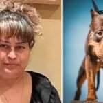 Egy 5 éves kisfiú fejét összemarcangolta, egy nőt pedig megölt egy XL bully Angliában