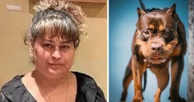 Egy 5 éves kisfiú fejét összemarcangolta, egy nőt pedig megölt egy XL bully Angliában