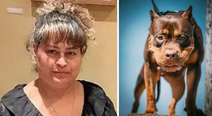 Egy 5 éves kisfiú fejét összemarcangolta, egy nőt pedig megölt egy XL bully Angliában 4
